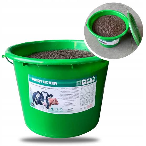 dairylicker.jpg