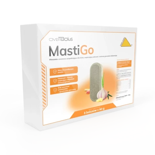 mastiGo.webp