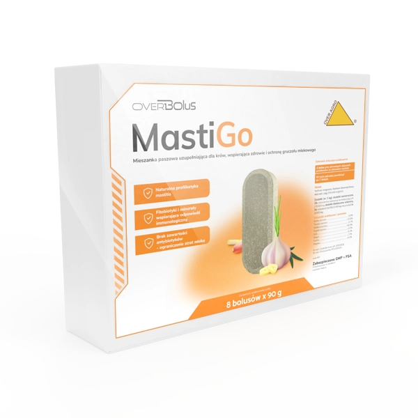 mastiGo.webp