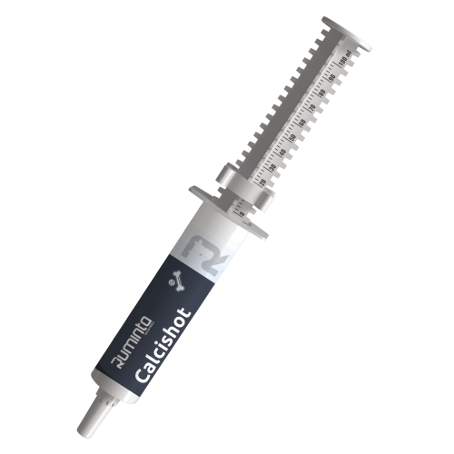 Calcishot-strzykawka-v2-scaled.png