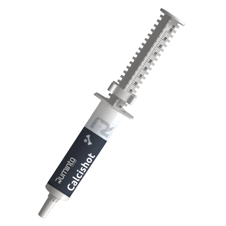 Calcishot-strzykawka-v2-scaled.png