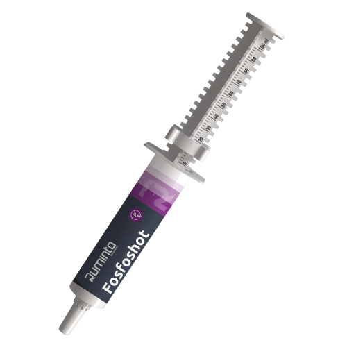Fosfoshot-strzykawka-scaled.png