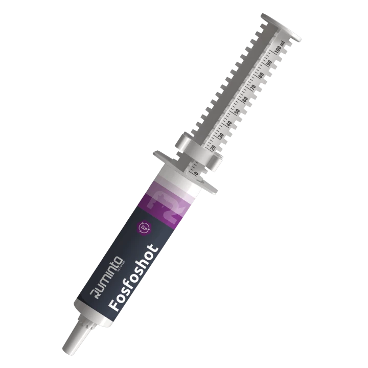Fosfoshot-strzykawka-scaled.png