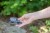 243080_3ecc.jpg